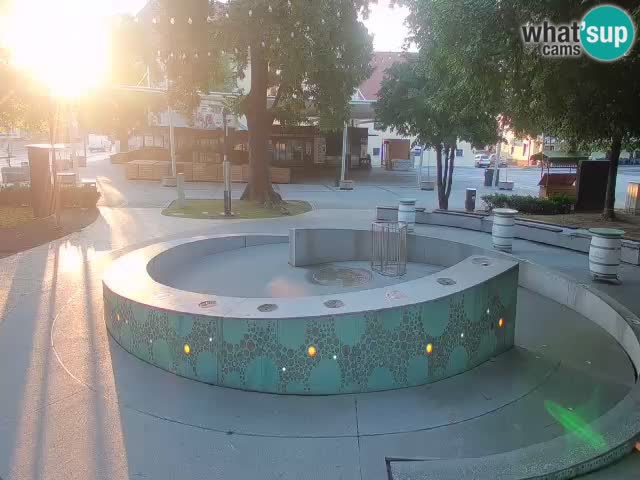Bier-Springbrunnen Webcam Žalec – Grünen Goldes