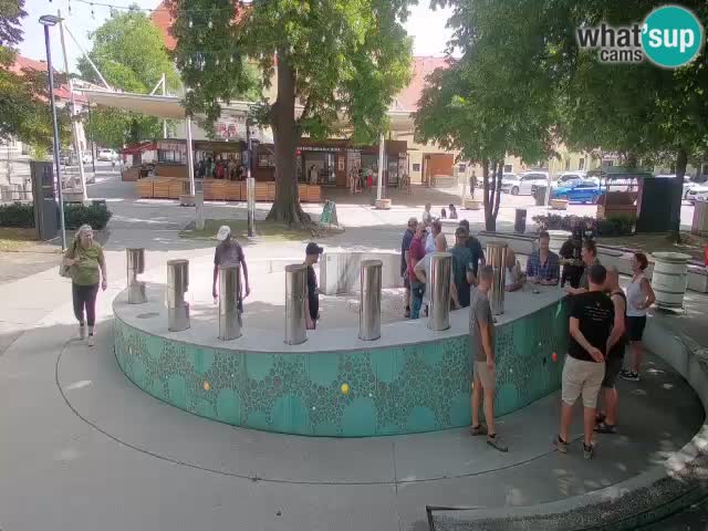 Fontana di birra Webcam – Oro verde – Žalec