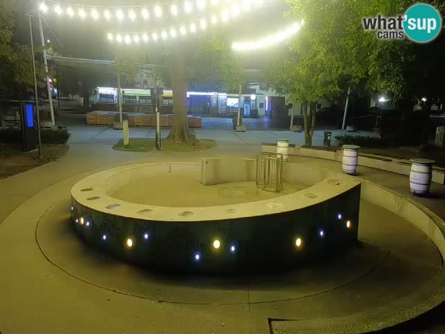 Camera en vivo Fuente de cerveza – Oro verde – Žalec