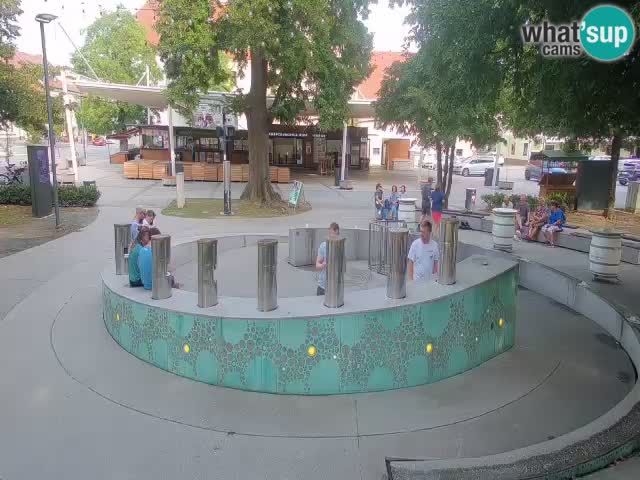 Fontaine à bière LIVE webcam – Or vert – Žalec