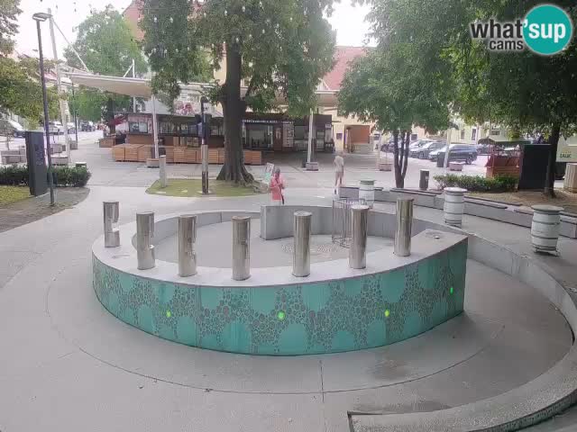 Bier-Springbrunnen Webcam Žalec – Grünen Goldes