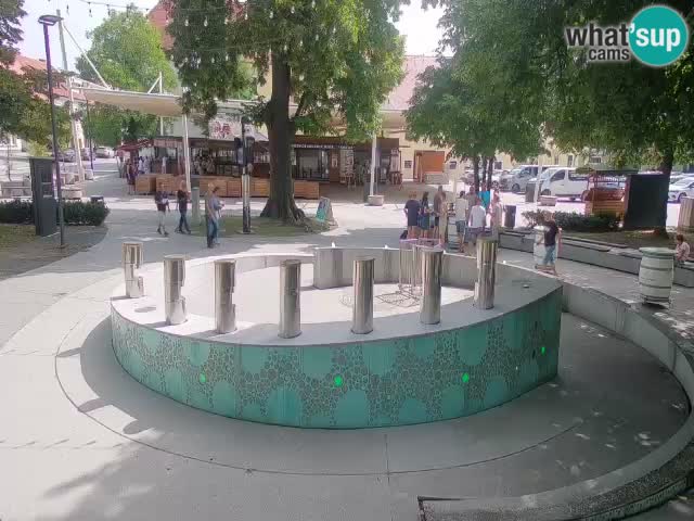 Web kamera Fontana piva – Zeleno zlato – Žalec