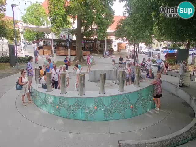 Bier-Springbrunnen Webcam Žalec – Grünen Goldes
