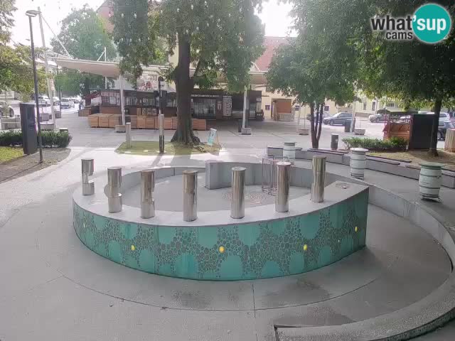 Bier-Springbrunnen Webcam Žalec – Grünen Goldes
