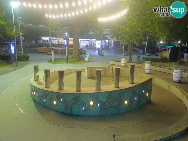Fontana di birra Webcam – Oro verde – Žalec