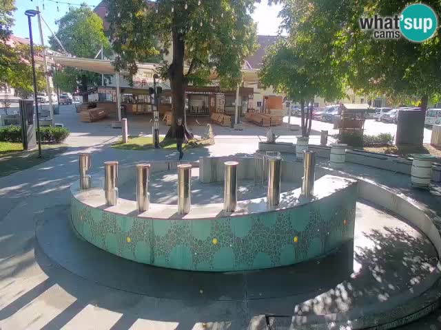 Web kamera Fontana piva – Zeleno zlato – Žalec