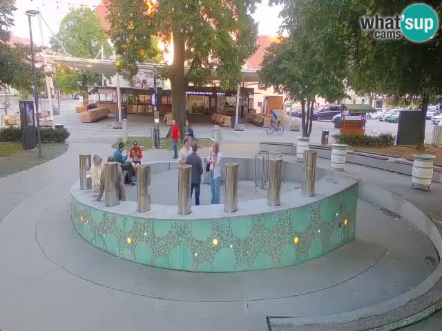 Fontana di birra Webcam – Oro verde – Žalec