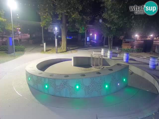 Fontaine à bière LIVE webcam – Or vert – Žalec