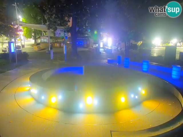 Fontaine à bière LIVE webcam – Or vert – Žalec