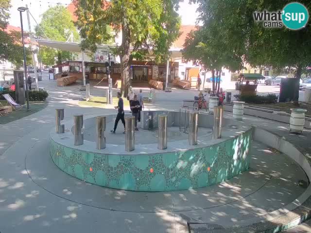 Camera en vivo Fuente de cerveza – Oro verde – Žalec