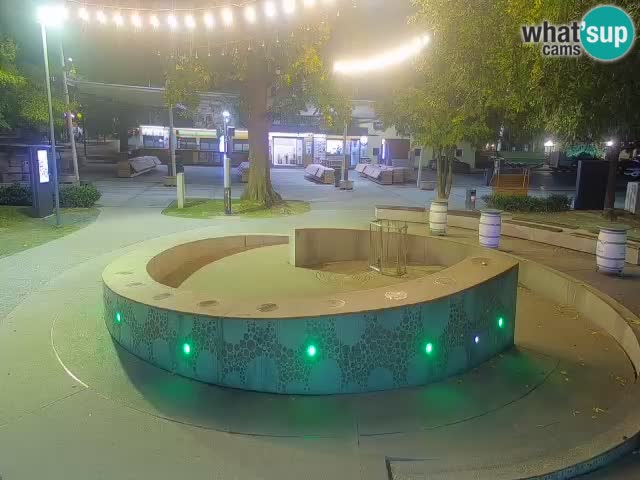 Fontaine à bière LIVE webcam – Or vert – Žalec