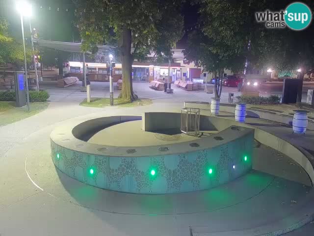 Spletna kamera Fontana Piv – Zeleno zlato Žalec