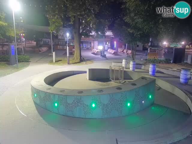 Spletna kamera Fontana Piv – Zeleno zlato Žalec