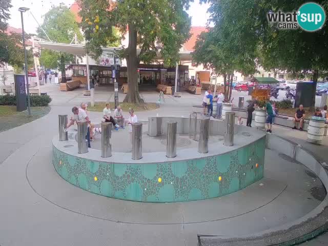 Spletna kamera Fontana Piv – Zeleno zlato Žalec