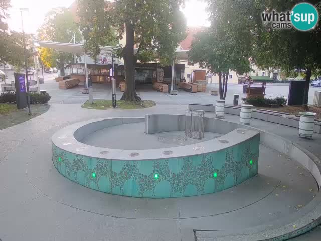 Web kamera Fontana piva – Zeleno zlato – Žalec