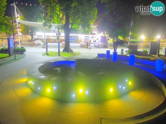 Bier-Springbrunnen Webcam Žalec – Grünen Goldes