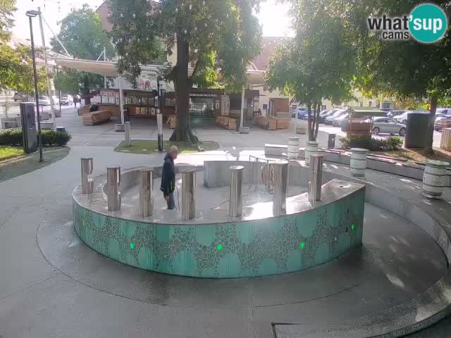 Bier-Springbrunnen Webcam Žalec – Grünen Goldes