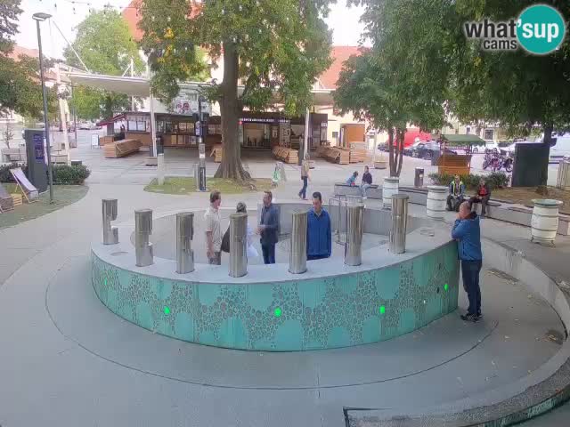 Web kamera Fontana piva – Zeleno zlato – Žalec