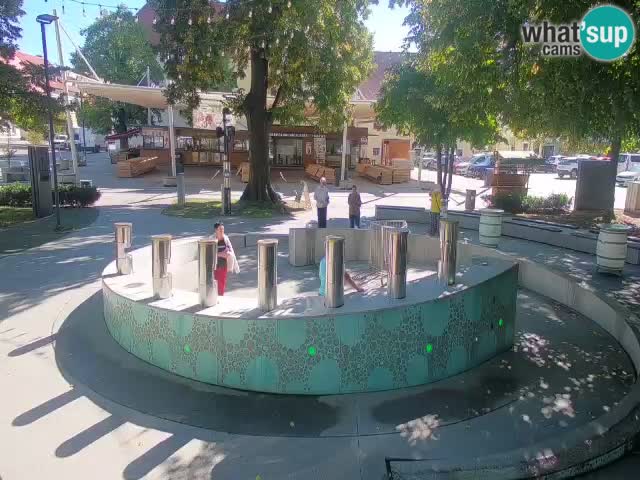 Web kamera Fontana piva – Zeleno zlato – Žalec