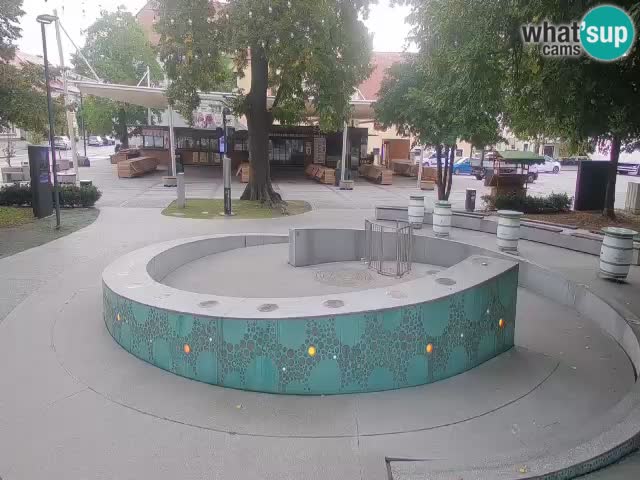 Spletna kamera Fontana Piv – Zeleno zlato Žalec