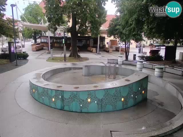 Fontaine à bière LIVE webcam – Or vert – Žalec