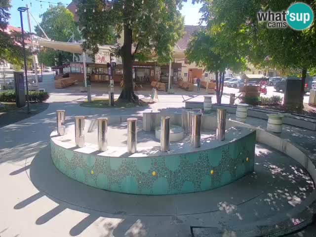 Fontaine à bière LIVE webcam – Or vert – Žalec