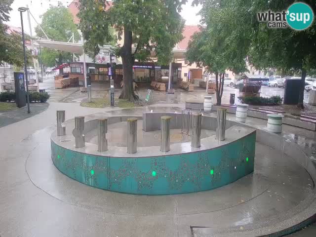 Bier-Springbrunnen Webcam Žalec – Grünen Goldes