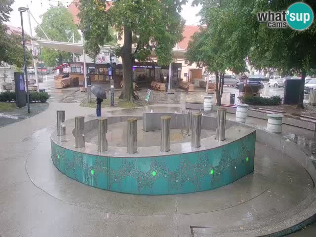 Web kamera Fontana piva – Zeleno zlato – Žalec