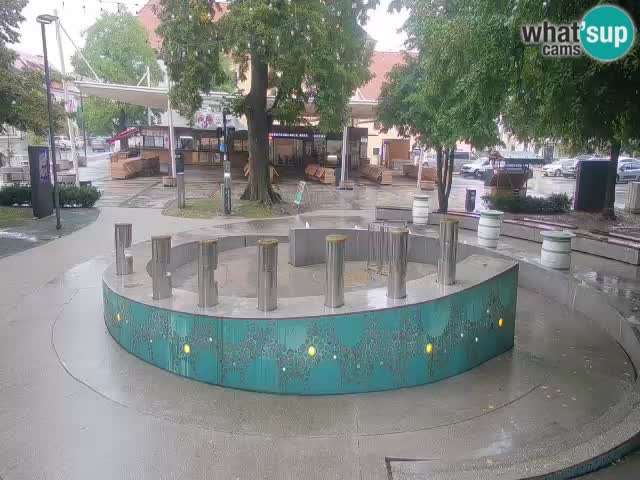 Fontana di birra Webcam – Oro verde – Žalec