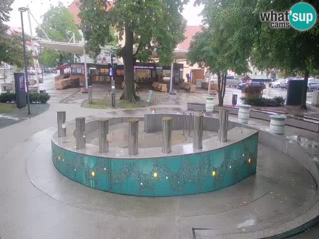 Fontana di birra Webcam – Oro verde – Žalec