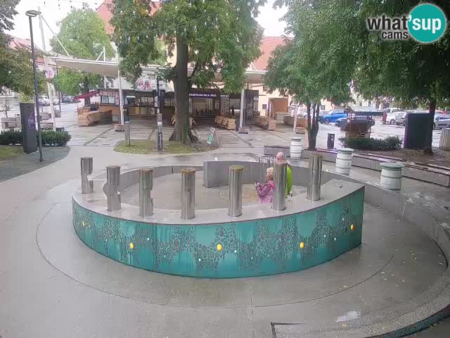 Fontaine à bière LIVE webcam – Or vert – Žalec