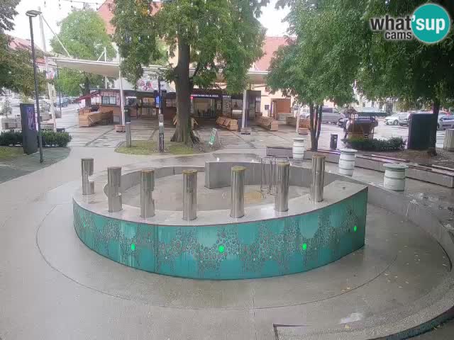 Fontana di birra Webcam – Oro verde – Žalec