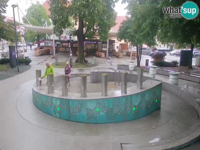 Web kamera Fontana piva – Zeleno zlato – Žalec