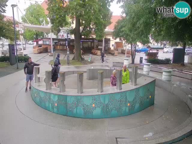 Fontana di birra Webcam – Oro verde – Žalec