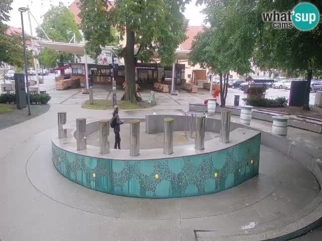 Fontana di birra Webcam – Oro verde – Žalec