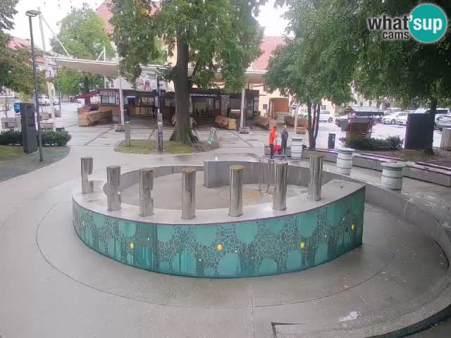Web kamera Fontana piva – Zeleno zlato – Žalec