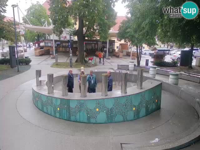 Fontana di birra Webcam – Oro verde – Žalec