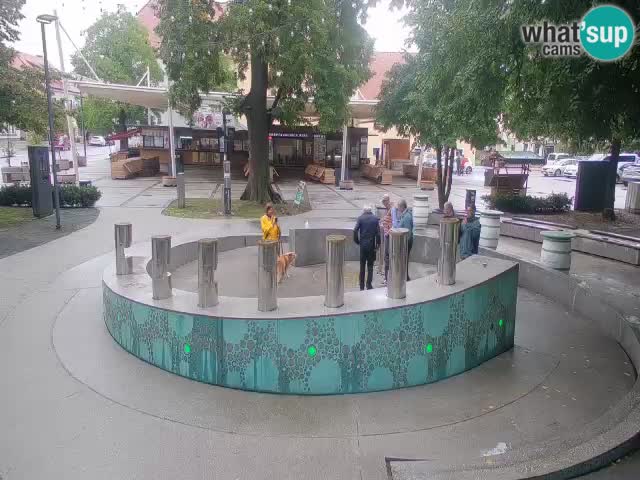Fontana di birra Webcam – Oro verde – Žalec