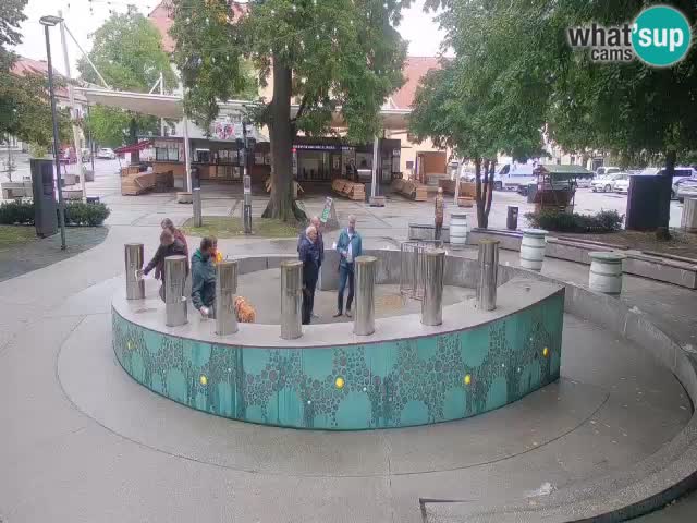 Fontana di birra Webcam – Oro verde – Žalec