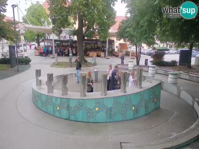 Bier-Springbrunnen Webcam Žalec – Grünen Goldes