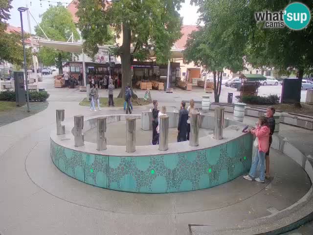 Camera en vivo Fuente de cerveza – Oro verde – Žalec