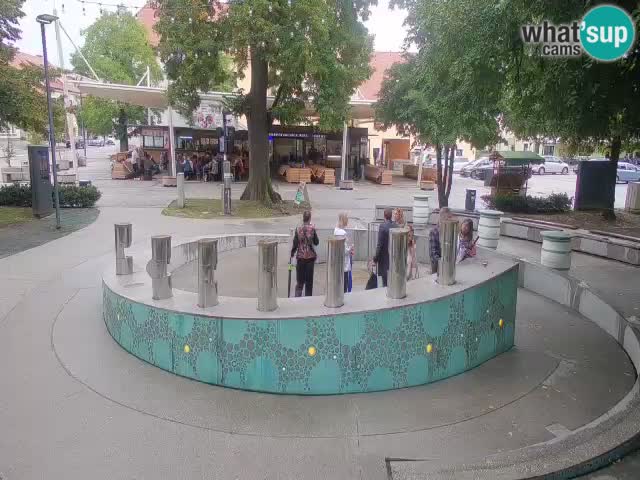 Bier-Springbrunnen Webcam Žalec – Grünen Goldes