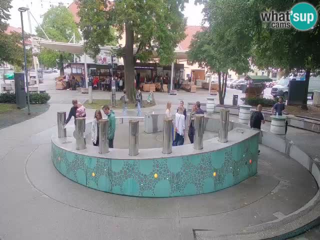 Bier-Springbrunnen Webcam Žalec – Grünen Goldes