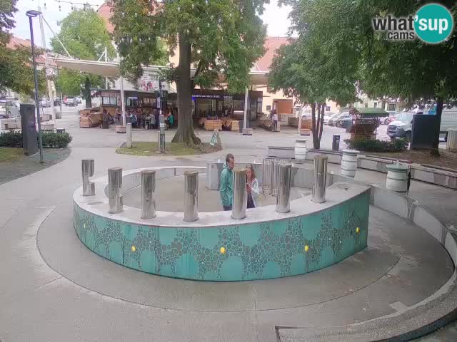 Bier-Springbrunnen Webcam Žalec – Grünen Goldes