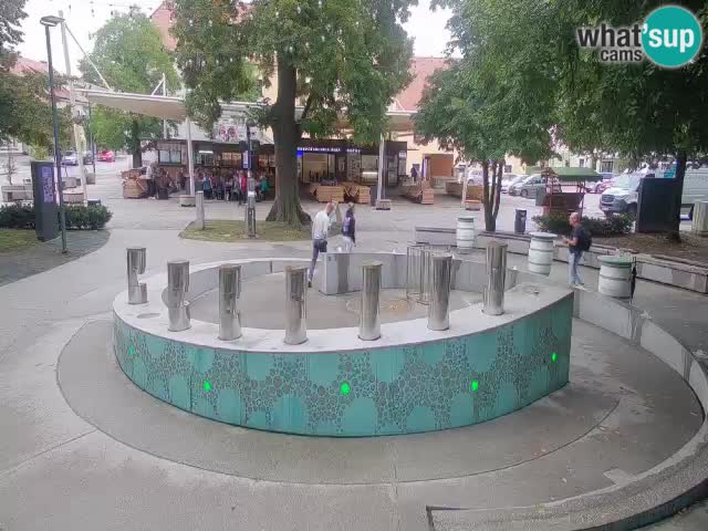 Fontana di birra Webcam – Oro verde – Žalec