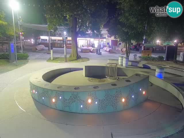 Spletna kamera Fontana Piv – Zeleno zlato Žalec