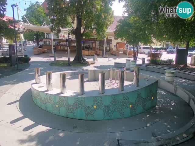 Fontaine à bière LIVE webcam – Or vert – Žalec