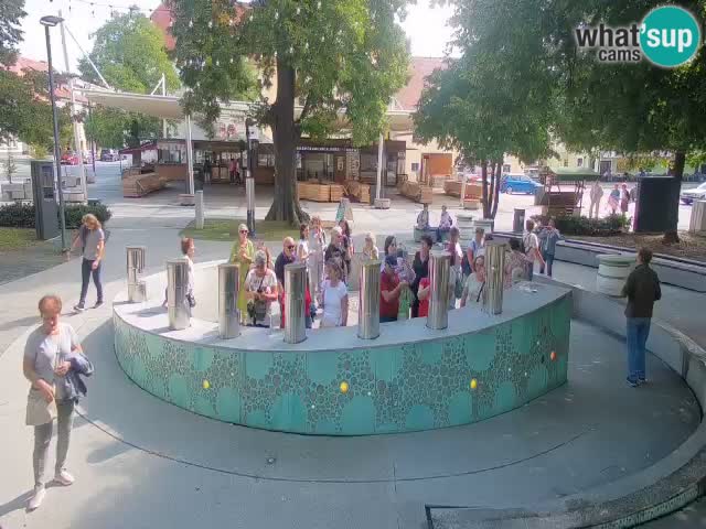 Fontaine à bière LIVE webcam – Or vert – Žalec