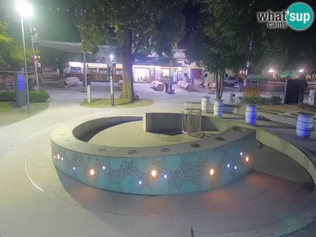 Bier-Springbrunnen Webcam Žalec – Grünen Goldes
