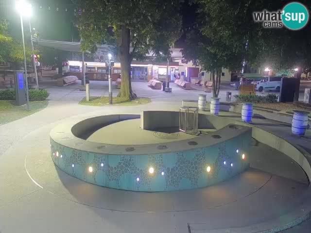 Bier-Springbrunnen Webcam Žalec – Grünen Goldes